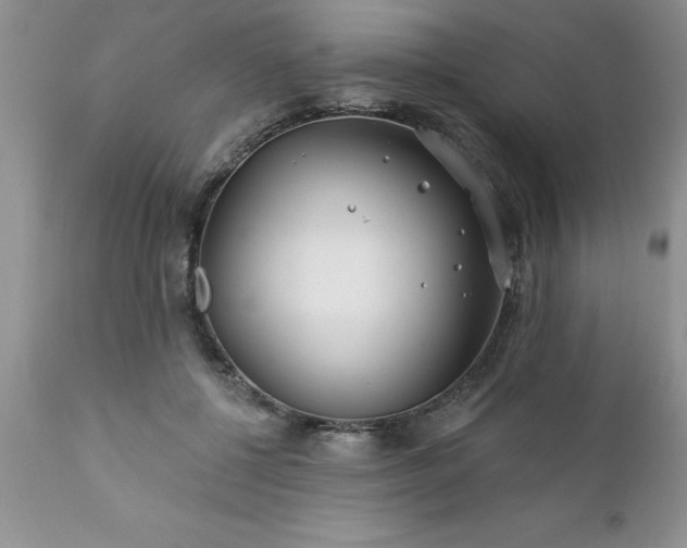 X0000111790552200907301147