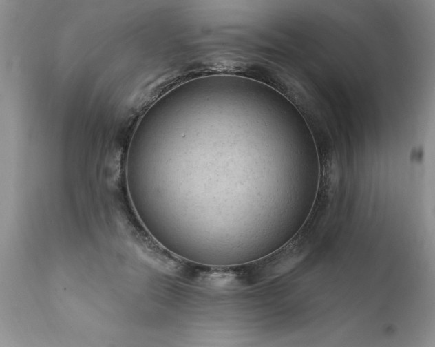 X0000111790554200907301147