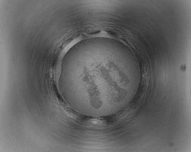 X0000111790555200907301147