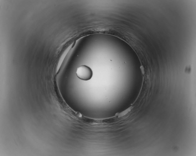 X0000111790556200907301148