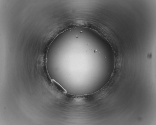 X0000111790560200907301148