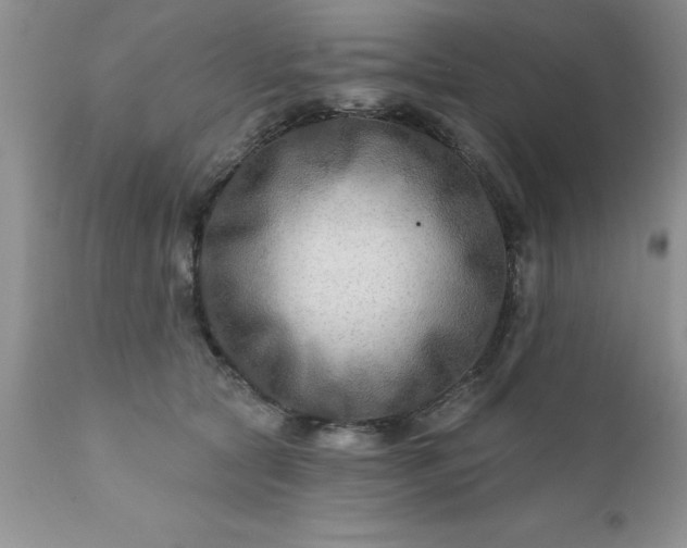 X0000111790561200907301148