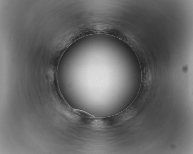 X0000111790562200907301148