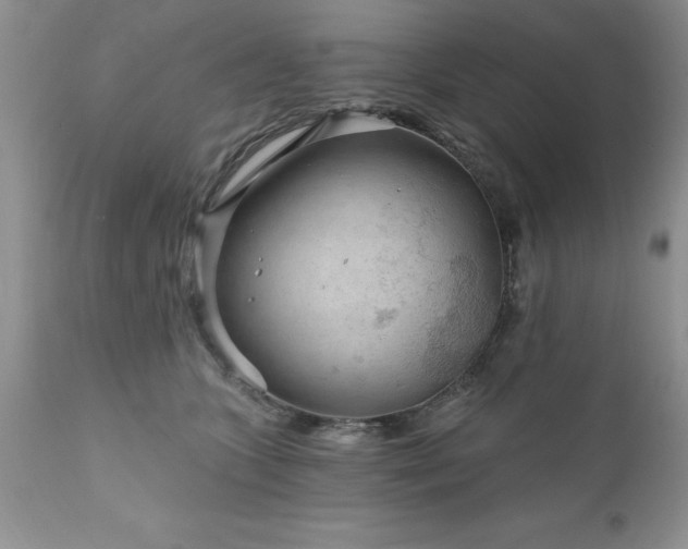 X0000111790563200907301148