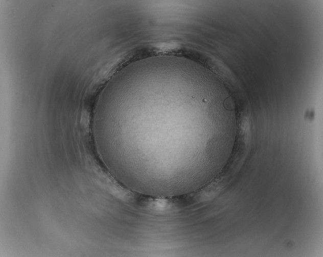 X0000111790565200907301148