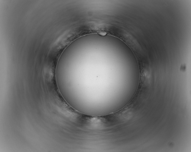 X0000111790566200907301148