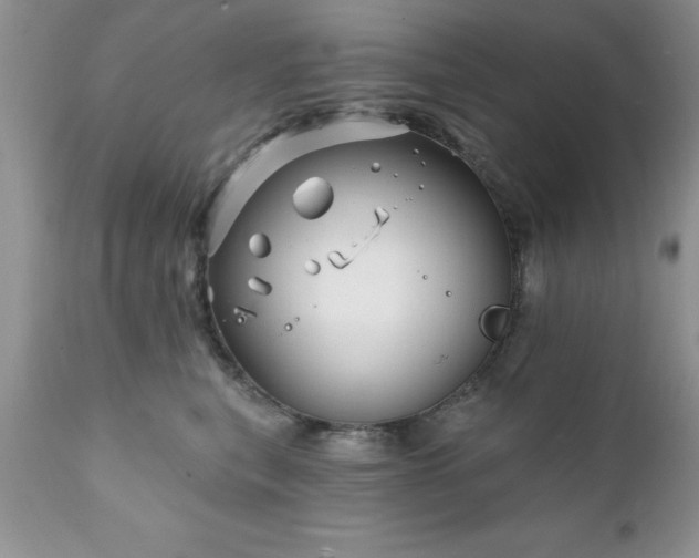 X0000111790567200907301148