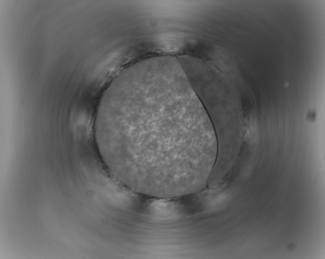 X0000111790568200907301148