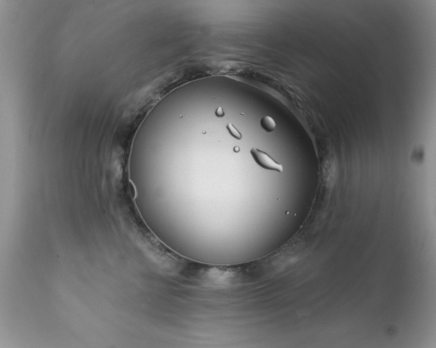 X0000111790570200907301148