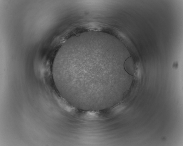 X0000111790573200907301148