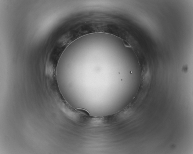 X0000111790574200907301148