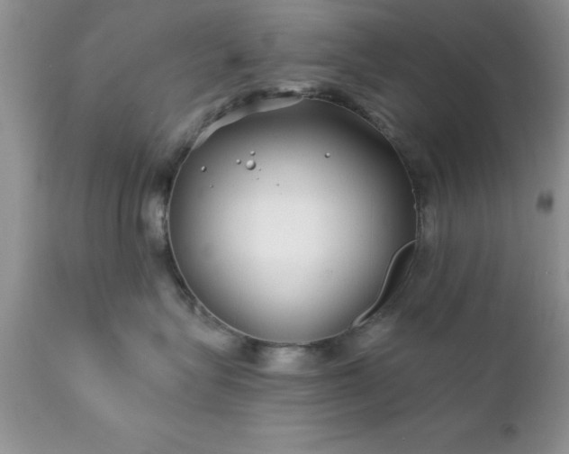 X0000111790575200907301148