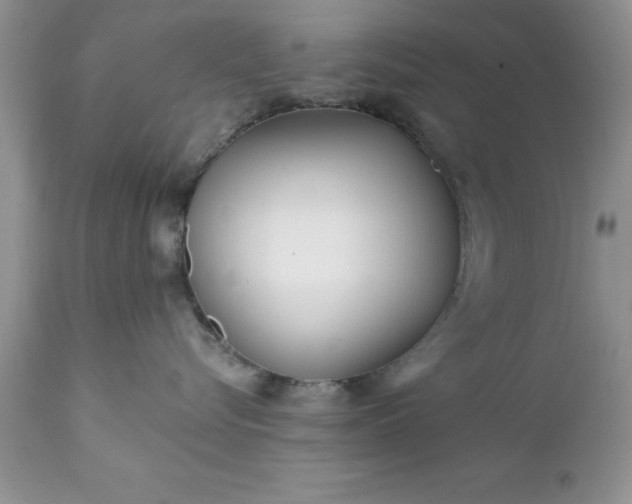 X0000111790576200907301148