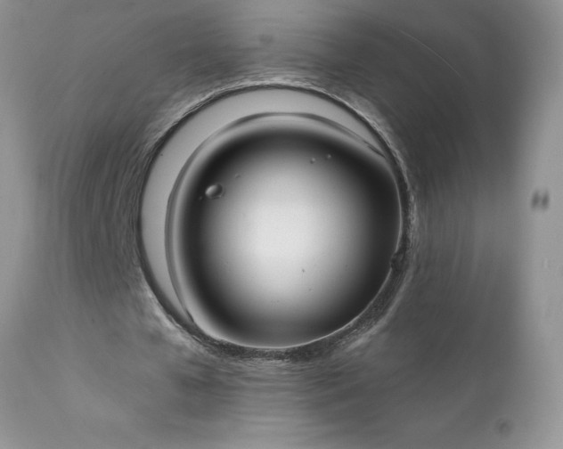 X0000111790577200907301147