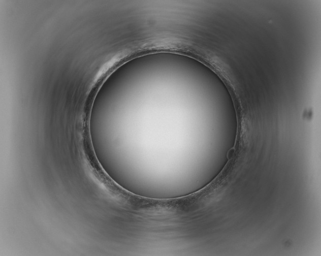 X0000111790578200907301147