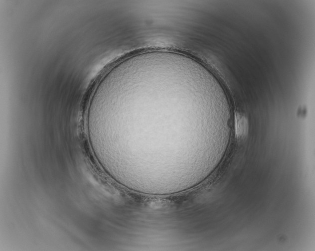 X0000111790579200907301147