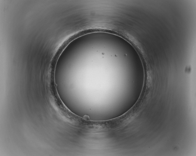 X0000111790580200907301147