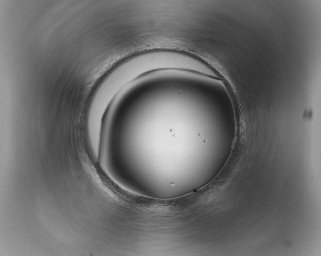 X0000111790581200907301147