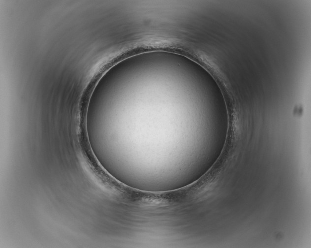 X0000111790582200907301147