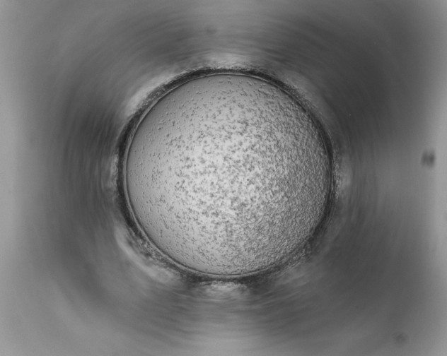 X0000111790583200907301147