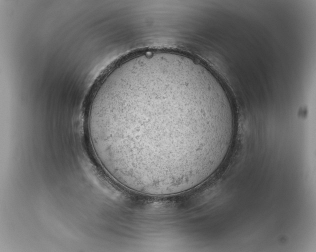 X0000111790584200907301147