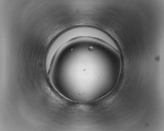 X0000111790585200907301147