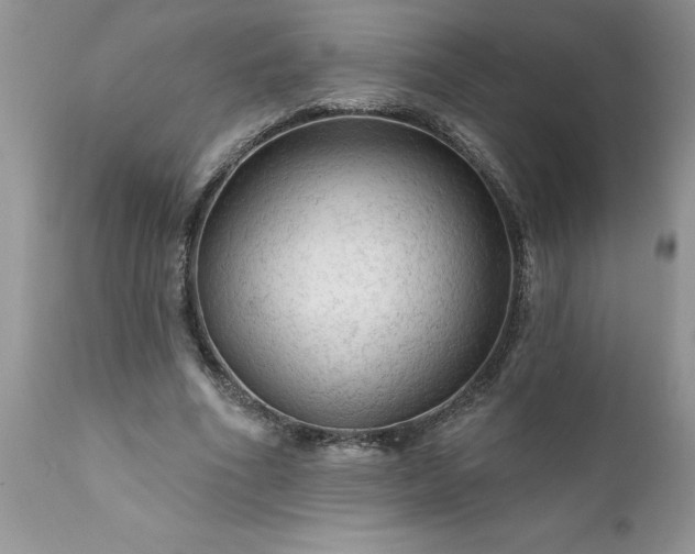 X0000111790586200907301147