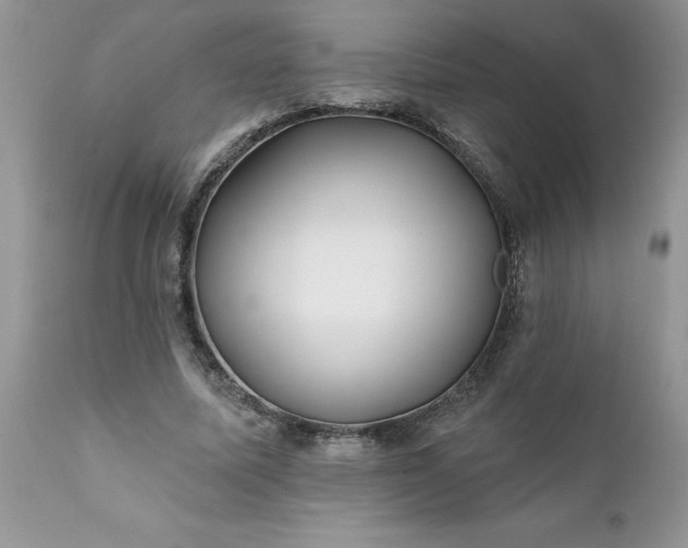 X0000111790587200907301147