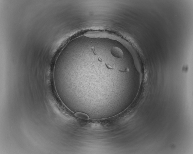 X0000111790588200907301147