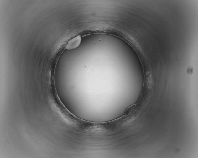 X0000111790589200907301147