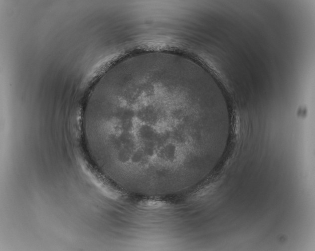 X0000111790590200907301147