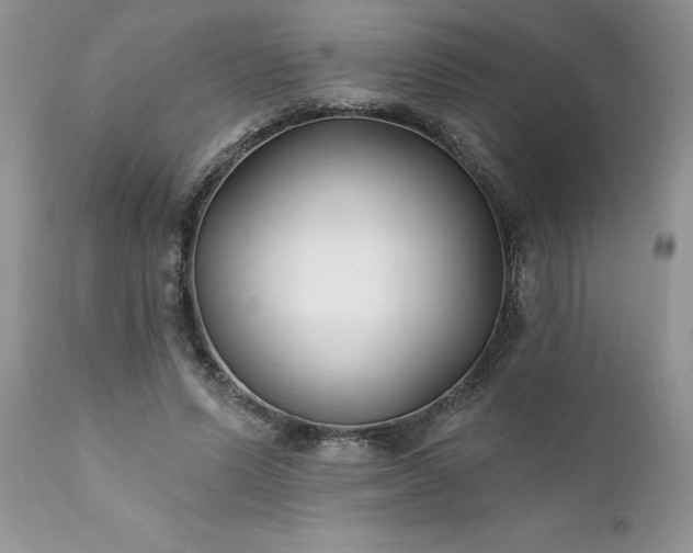 X0000111790591200907301147