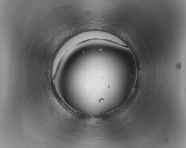 X0000111790593200907301147