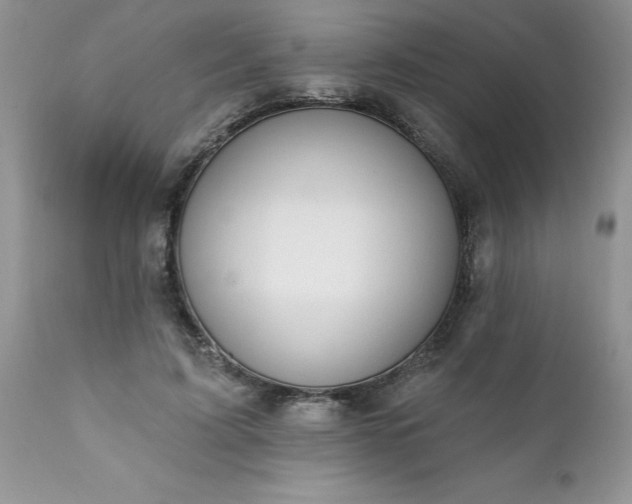 X0000111790595200907301147