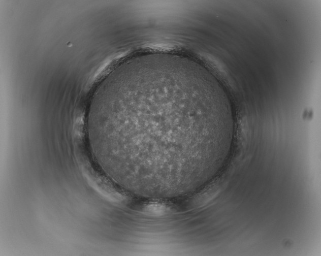 X0000111790596200907301147