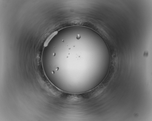 X0000111790597200907301147