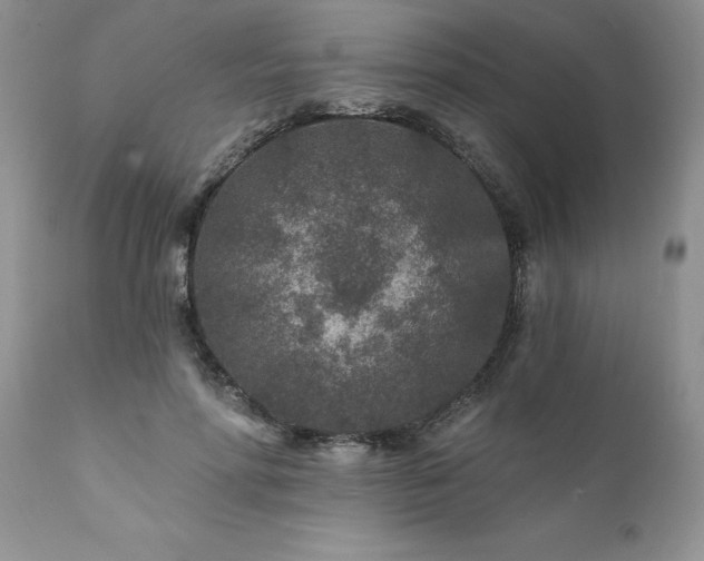 X0000111790598200907301147