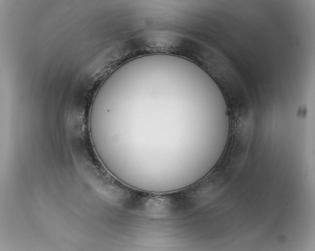 X0000111790599200907301147