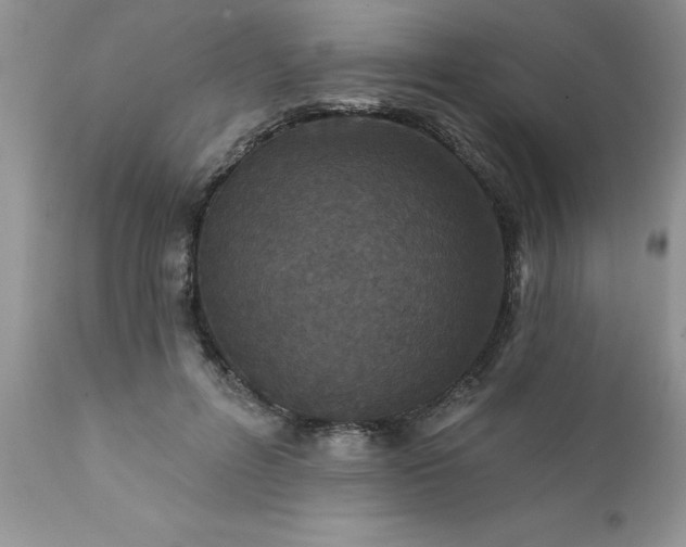 X0000111790600200907301147