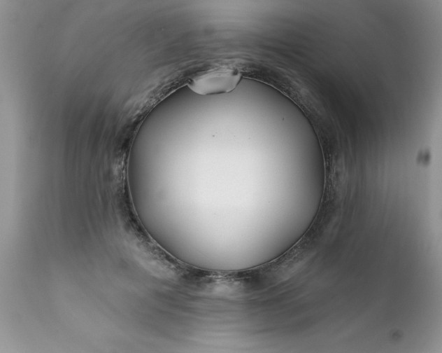 X0000111790601200907301147