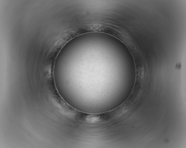 X0000111790602200907301147