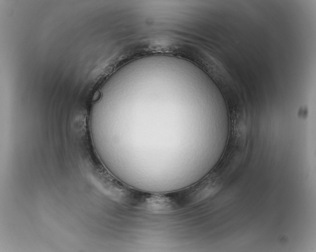 X0000111790603200907301147