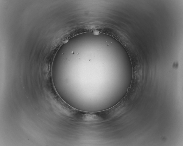 X0000111790605200907301147