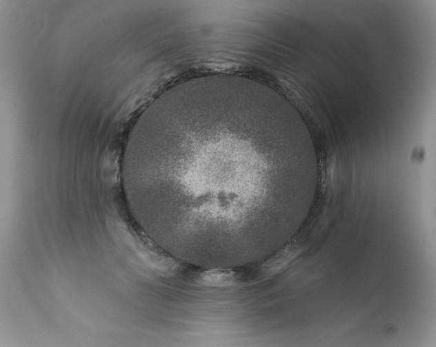 X0000111790606200907301147