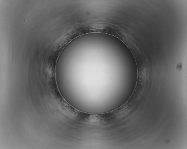 X0000111790608200907301147