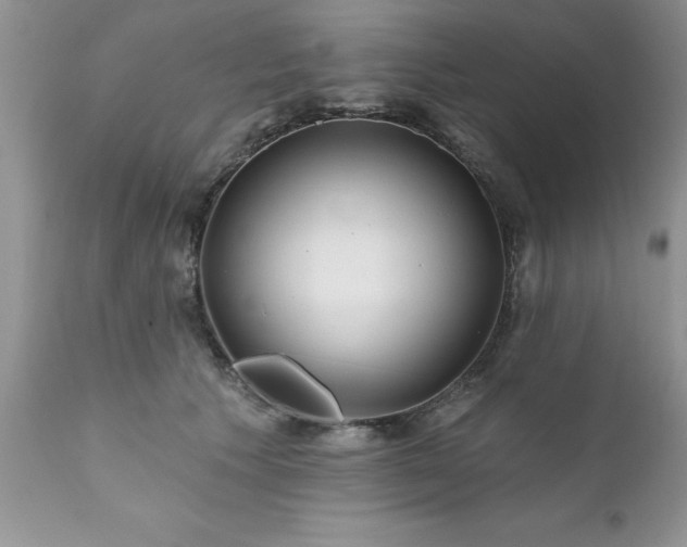 X0000111790609200907301147