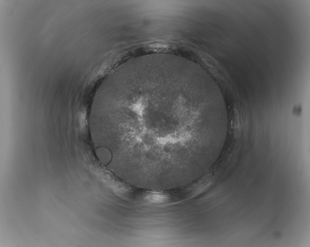 X0000111790610200907301147