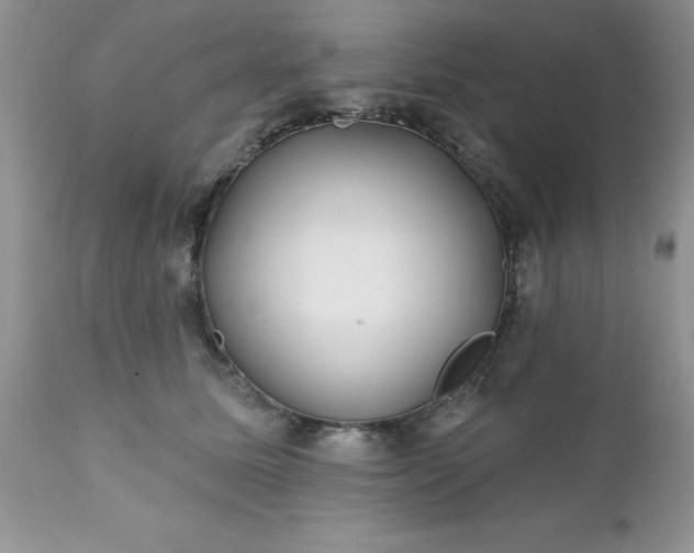 X0000111790611200907301147