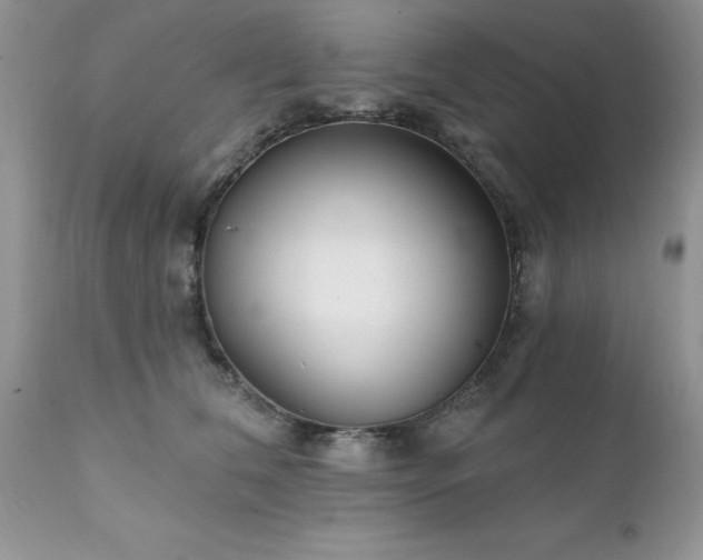 X0000111790612200907301147