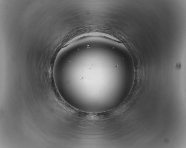 X0000111790613200907301147